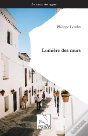 Capa do artigo Lumière Des Murs