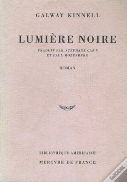 Capa do artigo Lumiere Noire