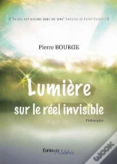 Lumiere Sur Le Reel Invisible