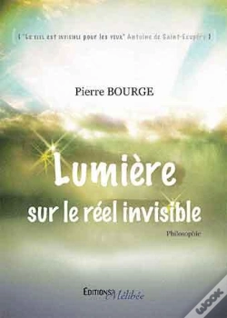 Capa do artigo Lumiere Sur Le Reel Invisible