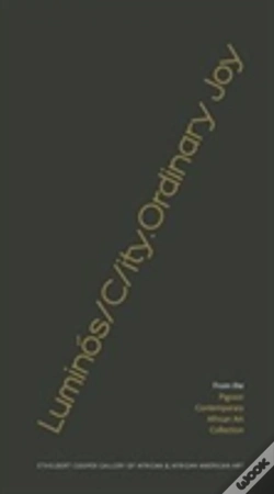 Capa do artigo Lumin 243 S C Ity.Ordinary Joy 8211