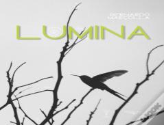 Lumina