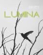 Lumina - Preview