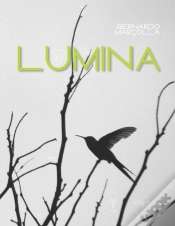 Capa do artigo Lumina