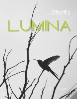 Capa do artigo Lumina