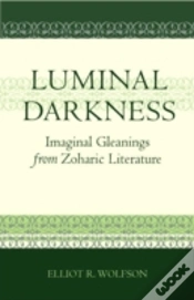 Capa do artigo LUMINAL DARKNESS