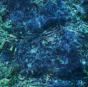 Luminescent Creatures - CD - Preview