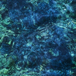 Capa do artigo Luminescent Creatures - CD