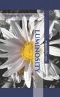 Luminosity - Preview