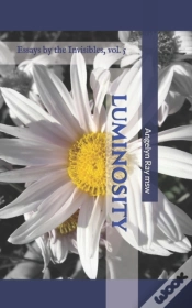 Capa do artigo Luminosity
