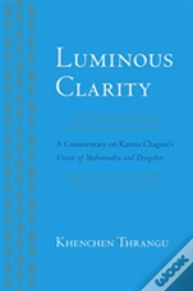 Capa do artigo Luminous Clarity
