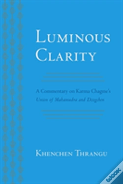 Capa do artigo Luminous Clarity