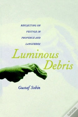 Capa do artigo Luminous Debris