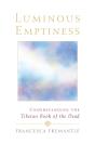 Luminous Emptiness - Preview