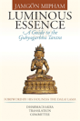Luminous Essence - Preview