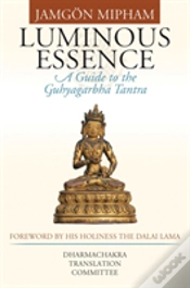 Capa do artigo Luminous Essence