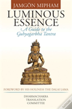 Capa do artigo Luminous Essence