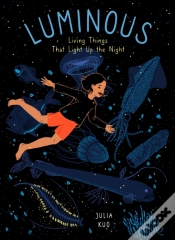 Capa do artigo Luminous