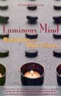 LUMINOUS MIND - Preview