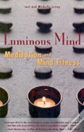 Capa do artigo LUMINOUS MIND