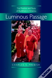 Capa do artigo Luminous Passage