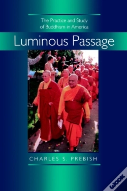Capa do artigo Luminous Passage