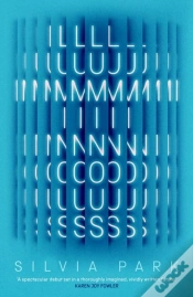 Capa do artigo Luminous
