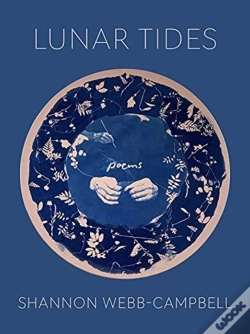 Capa do artigo Lunar Tides