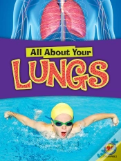 Capa do artigo Lungs