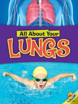 Capa do artigo Lungs