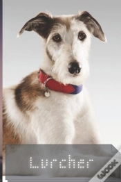 Capa do artigo Lurcher