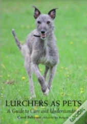 Lurchers As Pets
