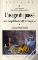 L'Usage Du Passé ; Entre Antiquité Tardive Et Haut Moyen Age