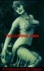 Lustful Turk - Preview
