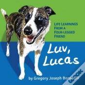 Capa do artigo Luv, Lucas