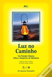 Capa do artigo Luz no Caminho