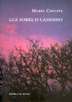 Capa do artigo Luz Sobre o Caminho