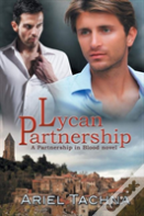 Lycan Partnership