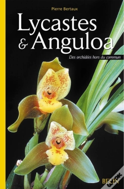 Capa do artigo Lycastes & Anguloa : Des Orchidées Hors Du Commun