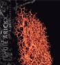 Lydie Arickx ; Arborescences - Preview