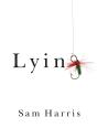 Lying - Preview