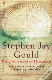 Capa do artigo Lying Stones Of Marrakech