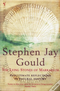 Capa do artigo Lying Stones Of Marrakech