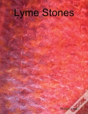 Capa do artigo Lyme Stones