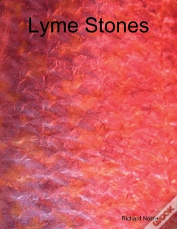Capa do artigo Lyme Stones