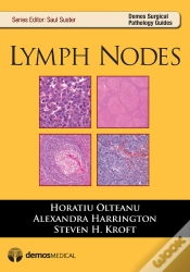 Capa do artigo Lymph Nodes