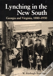 Capa do artigo Lynching In The New South