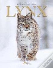 Capa do artigo Lynx