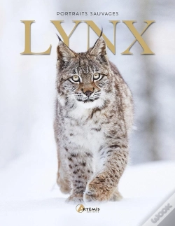 Capa do artigo Lynx
