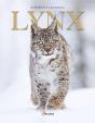 Lynx - Preview